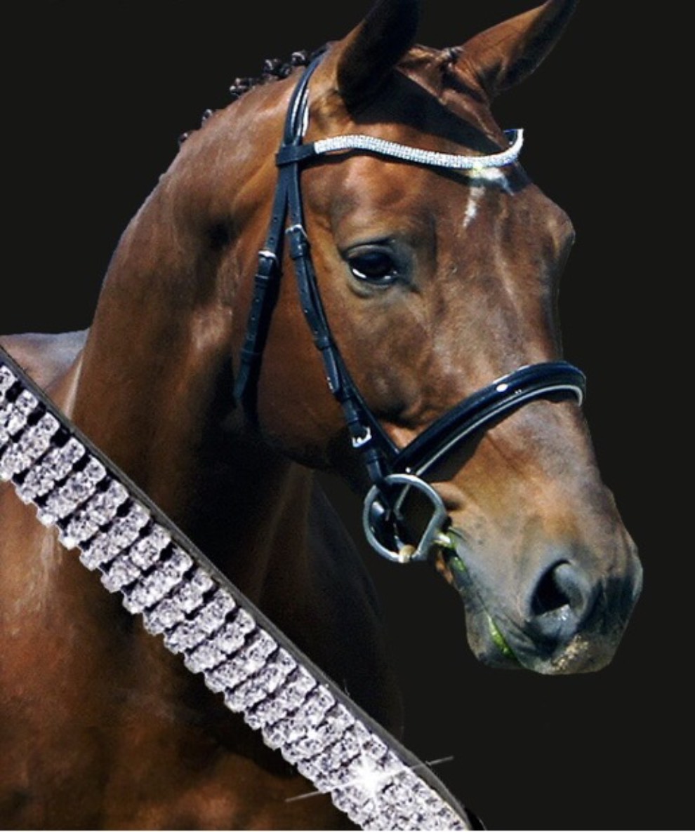 a-beginner-s-guide-to-horse-bridles-how-do-they-work-the-devon-daily